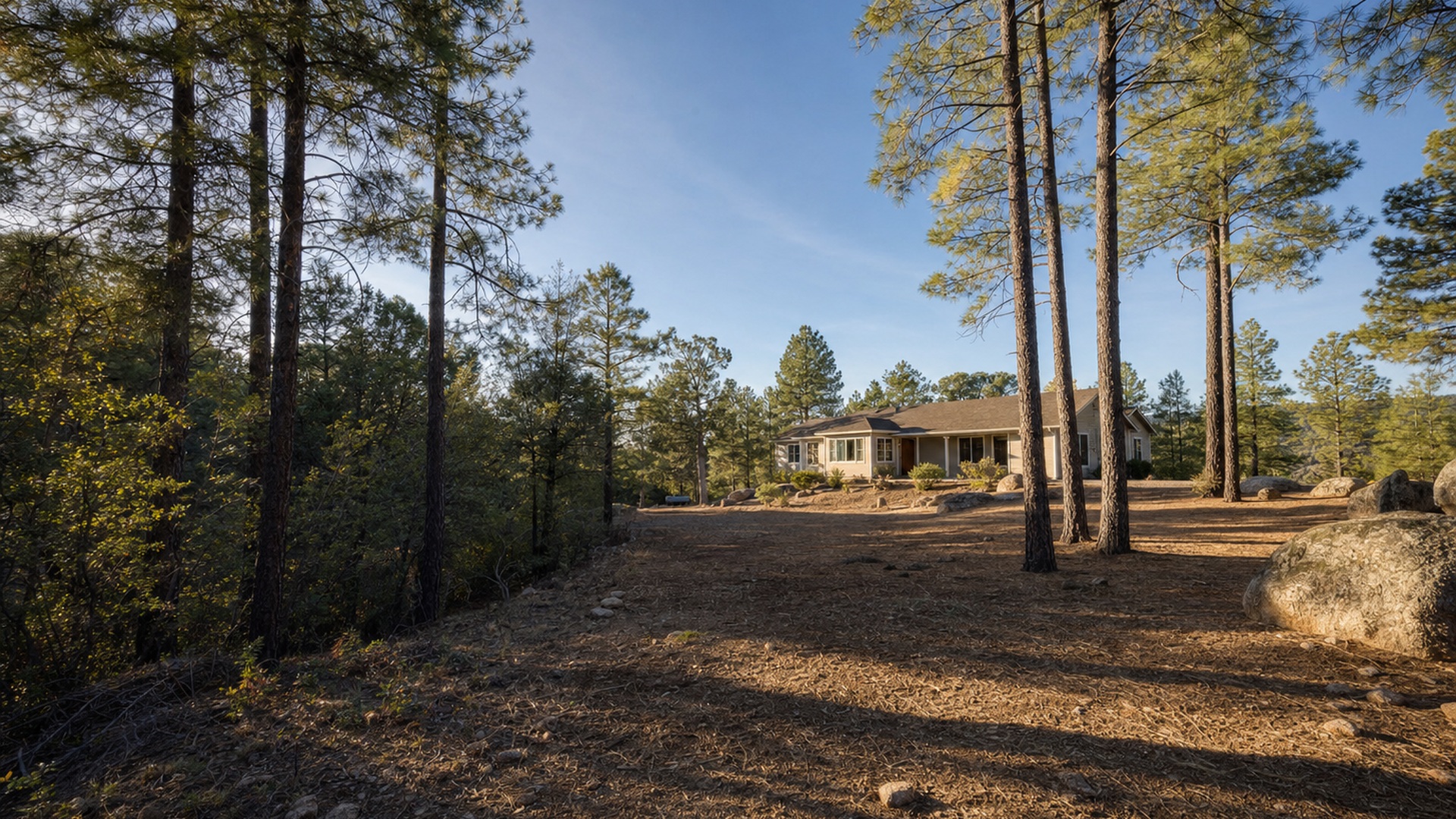 Home in ponderosa pine country with brush and low limbs cleared to create defensible space